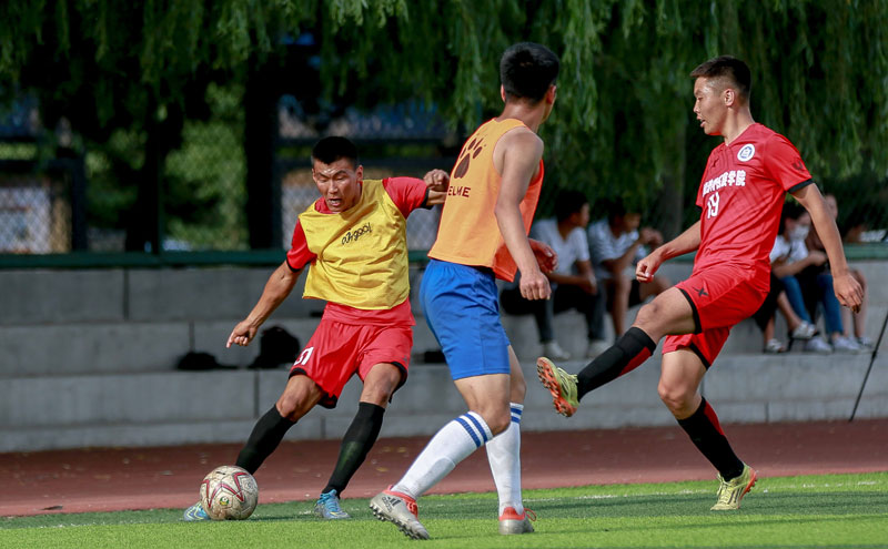 三分刚出手球迷就知道能进（三分一出手，球迷就知道要进了）